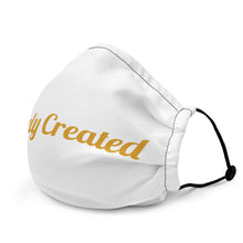 Load image into Gallery viewer, Divinely Created Script-Premium face mask