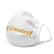 Load image into Gallery viewer, Divinely Created Script-Premium face mask