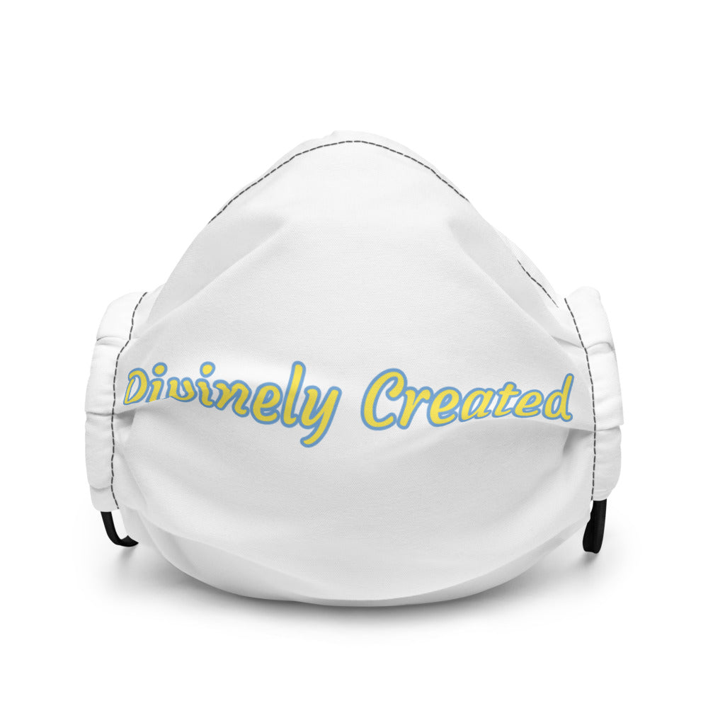 Divinely Created-Premium face mask