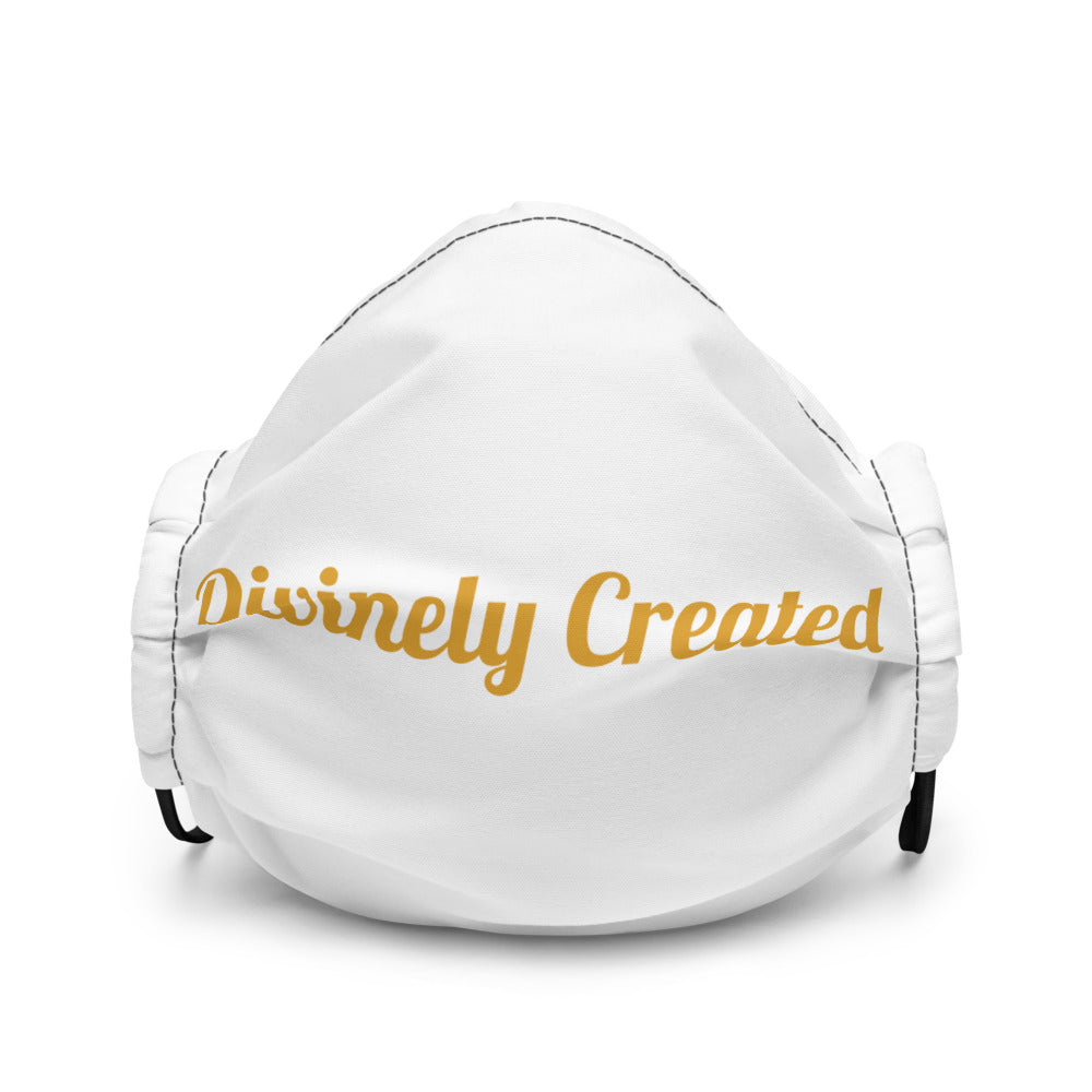 Divinely Created Script-Premium face mask