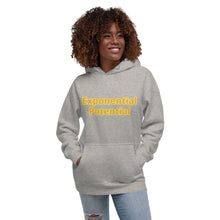 Load image into Gallery viewer, Exponential Potential-Unisex Hoodie
